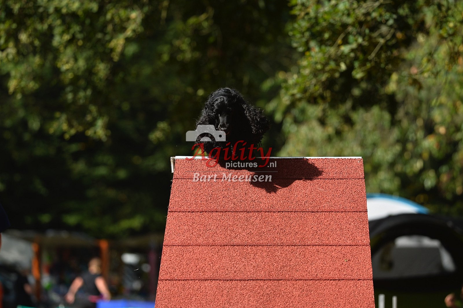 4 feet for fun agility deel2