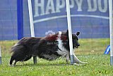 Canis donderdag