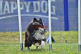 Canis donderdag