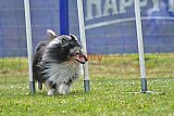 Canis donderdag