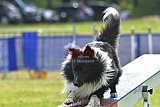 Canis donderdag