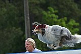 Canis donderdag