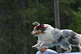 Canis donderdag