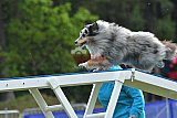 Canis donderdag