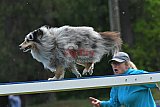 Canis donderdag