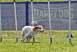 Canis donderdag