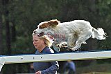 Canis donderdag