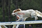 Canis donderdag