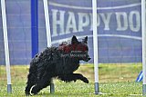 Canis donderdag