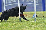 Canis donderdag