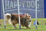 Canis donderdag