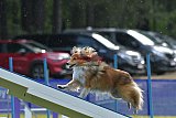 Canis donderdag