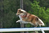 Canis donderdag