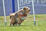 Canis donderdag