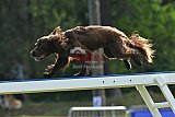 Canis donderdag