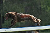 Canis donderdag