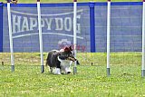 Canis donderdag