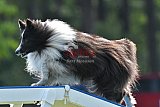 Canis donderdag