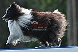 Canis donderdag