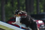 Canis donderdag