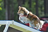 Canis donderdag