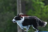 Canis donderdag