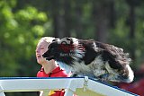 Canis donderdag