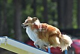 Canis donderdag