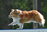 Canis donderdag