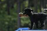 Canis donderdag