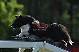 Canis donderdag