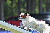 Canis donderdag
