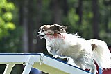 Canis donderdag
