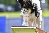 Canis donderdag