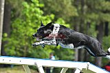 Canis donderdag