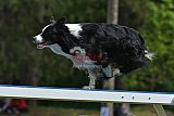 Canis donderdag
