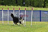 Canis donderdag