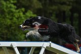 Canis donderdag