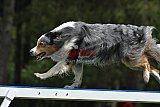 Canis donderdag