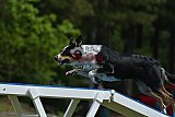 Canis donderdag