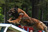 Canis donderdag