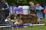 Canis donderdag