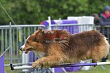 Canis donderdag