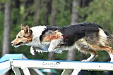 Canis donderdag