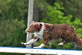 Canis donderdag
