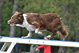 Canis donderdag