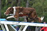 Canis donderdag