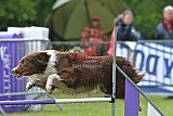 Canis donderdag