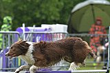 Canis donderdag