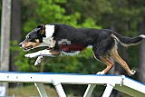 Canis donderdag